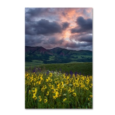 Michael Blanchette Photography 'Awakening' Canvas Art,16x24